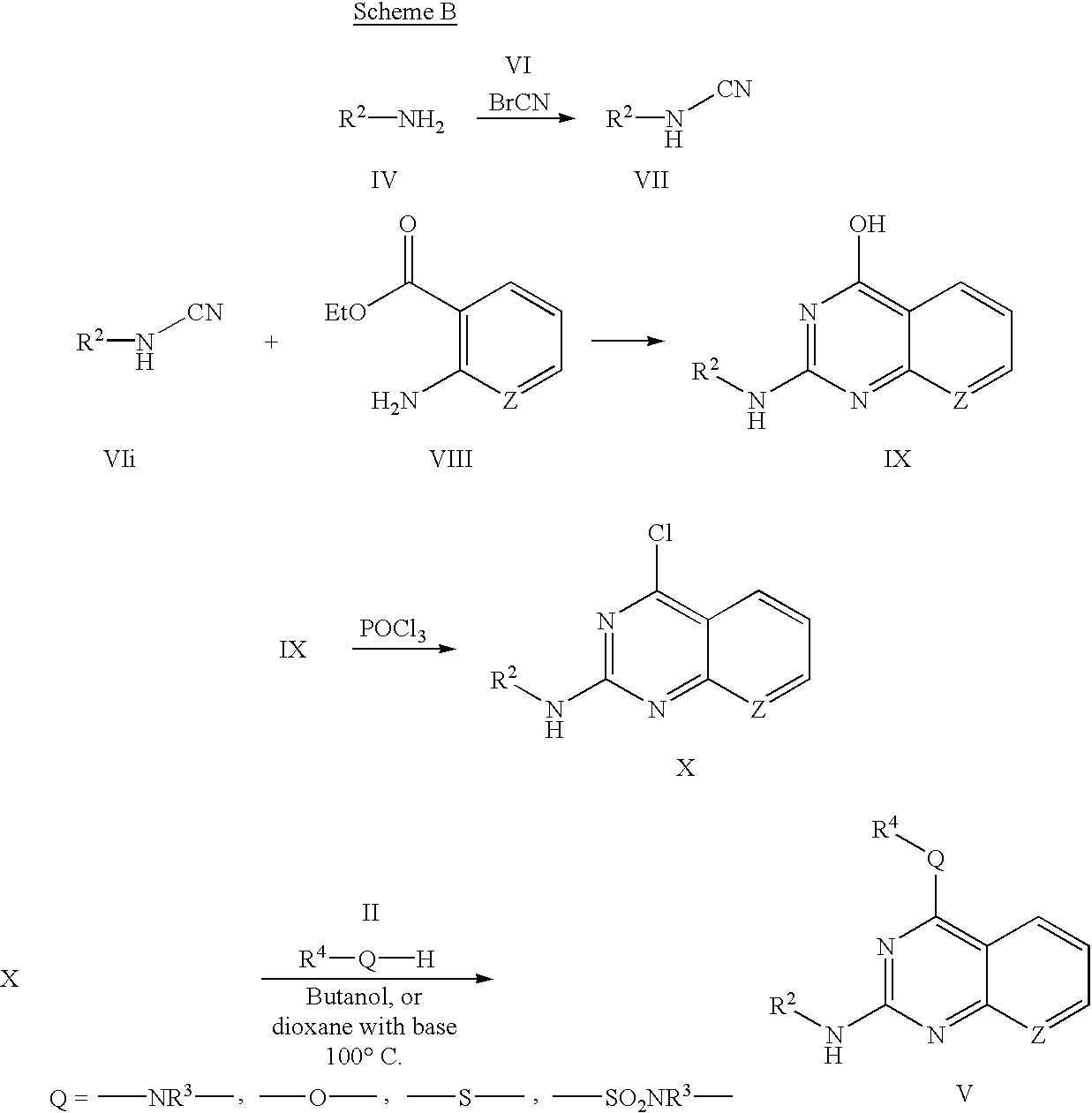 Figure US20030092721A1-20030515-C00013