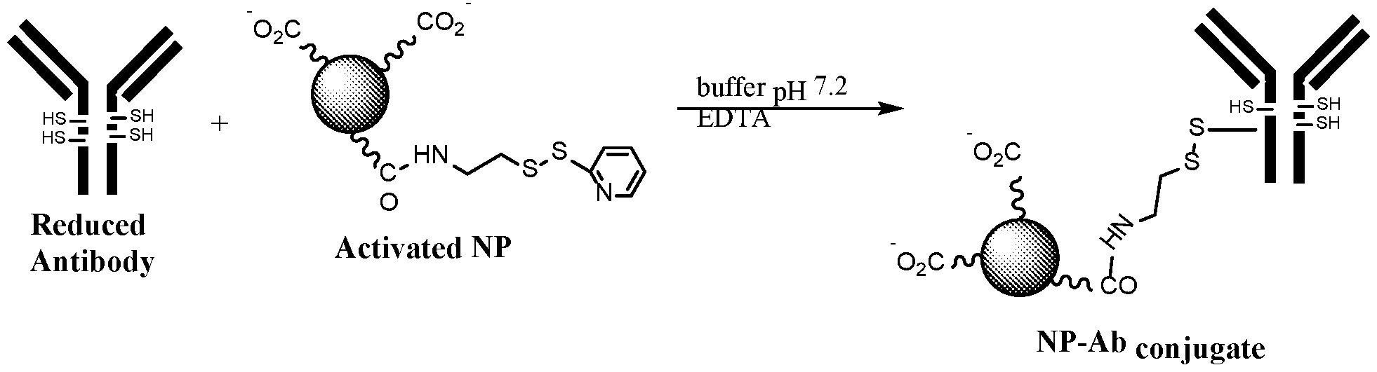 Figure imgf000166_0001