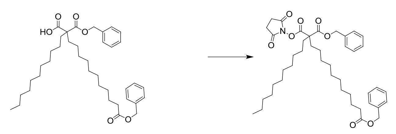 Figure 2022095757000095