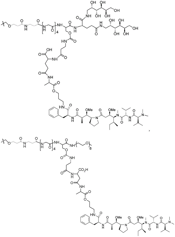 Figure BDA0003135424430001961
