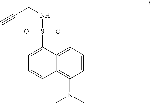 Figure US20060246509A1-20061102-C00014