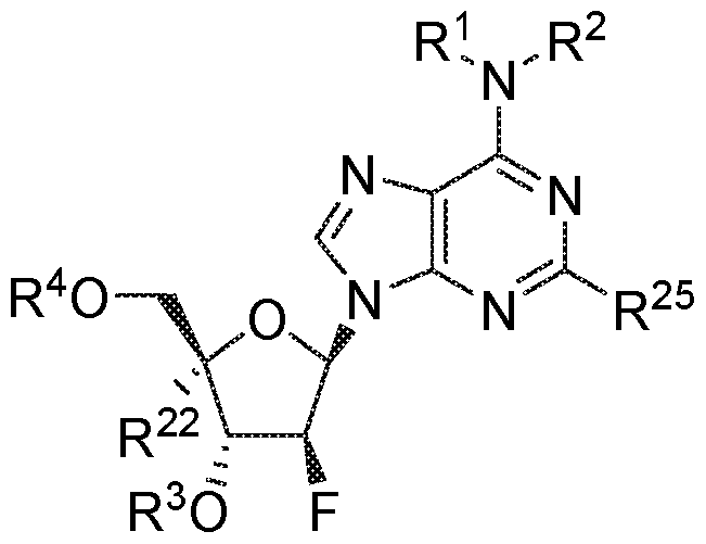 Figure imgf000393_0001