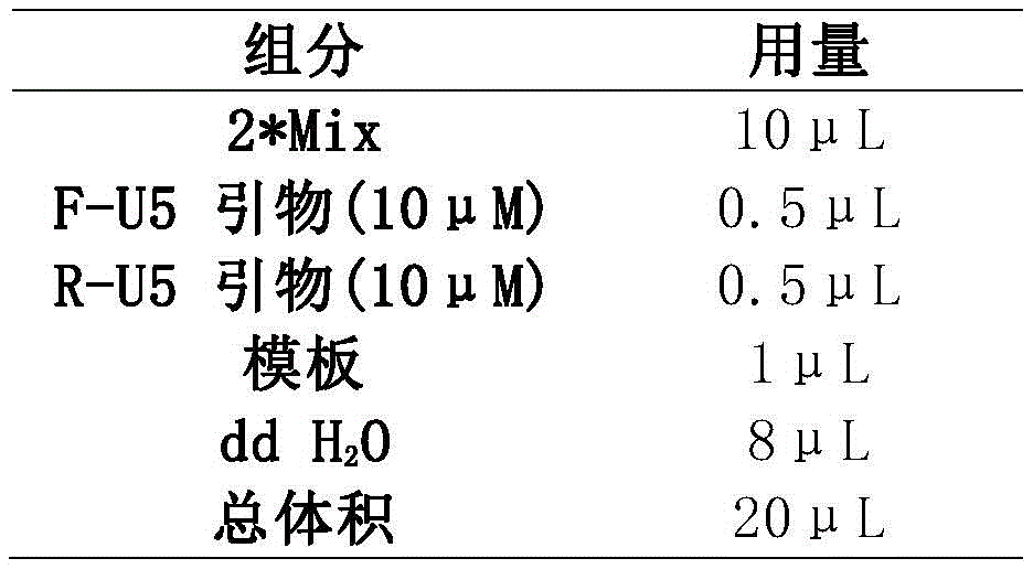 Figure BDA0002837879560000181