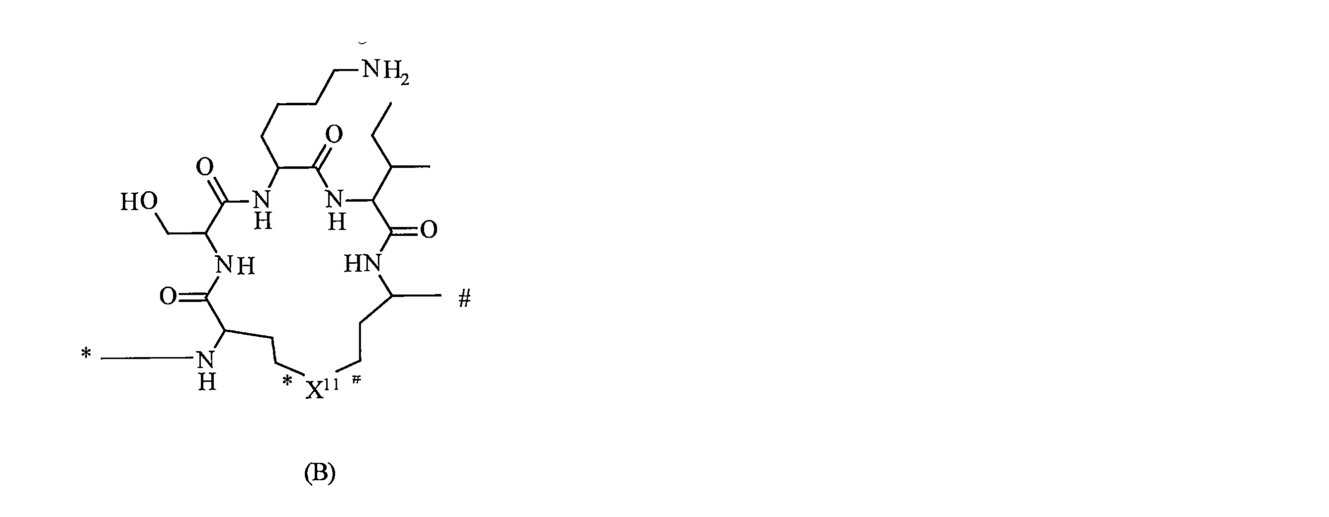 Figure 2022537369000003