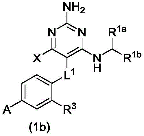 Figure GDA0003779907830000862