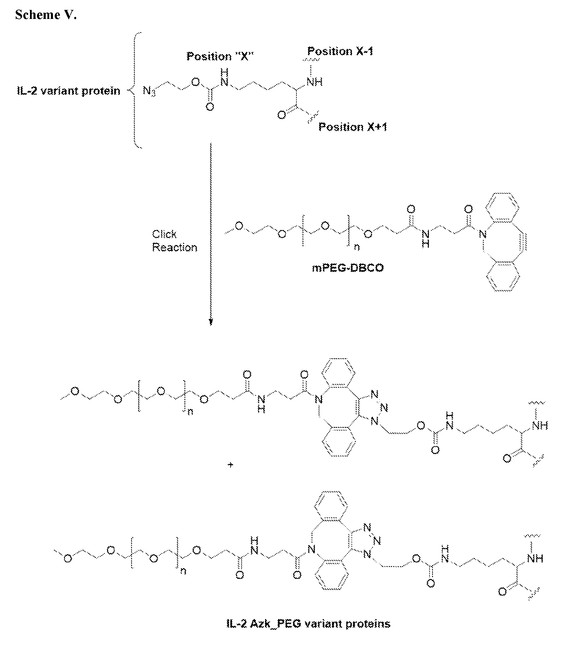 Figure imgf000031_0001