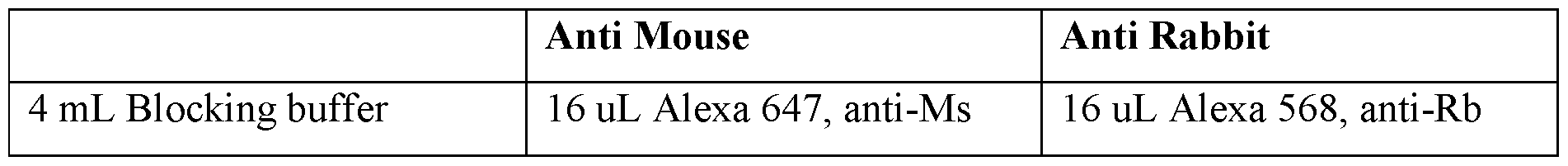 Figure imgf000024_0003