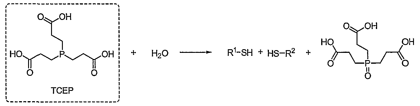 Figure imgf000077_0002