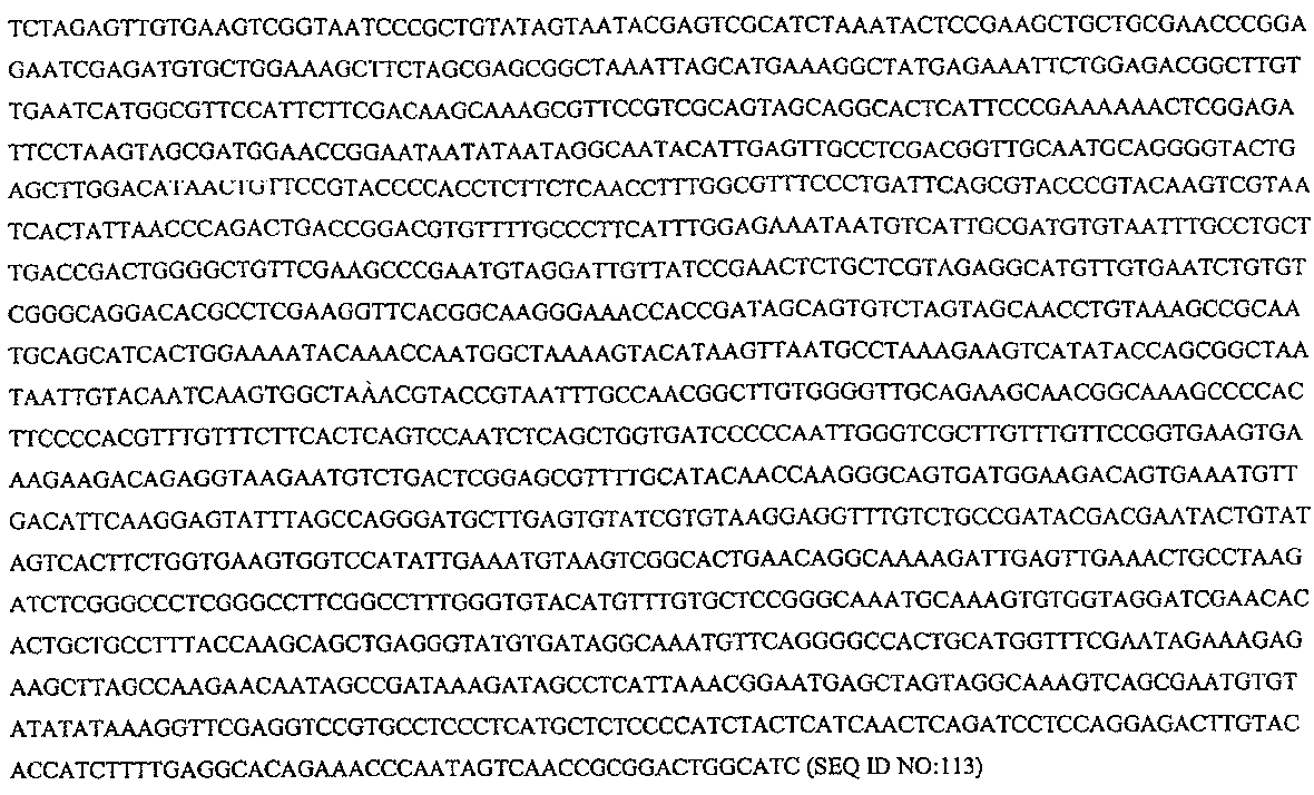 Figure 112006065182923-pct00024