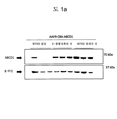 Figure P1020227026264