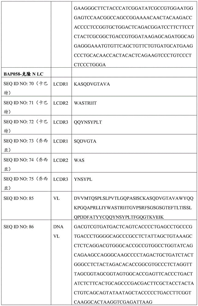 Figure BDA0004113614020002481