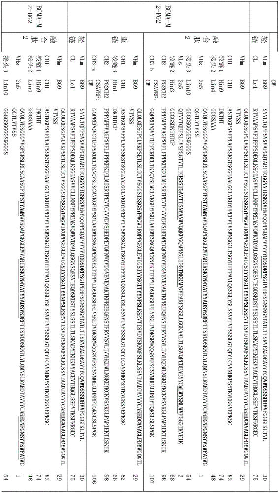 Figure BDA0002336612250000931