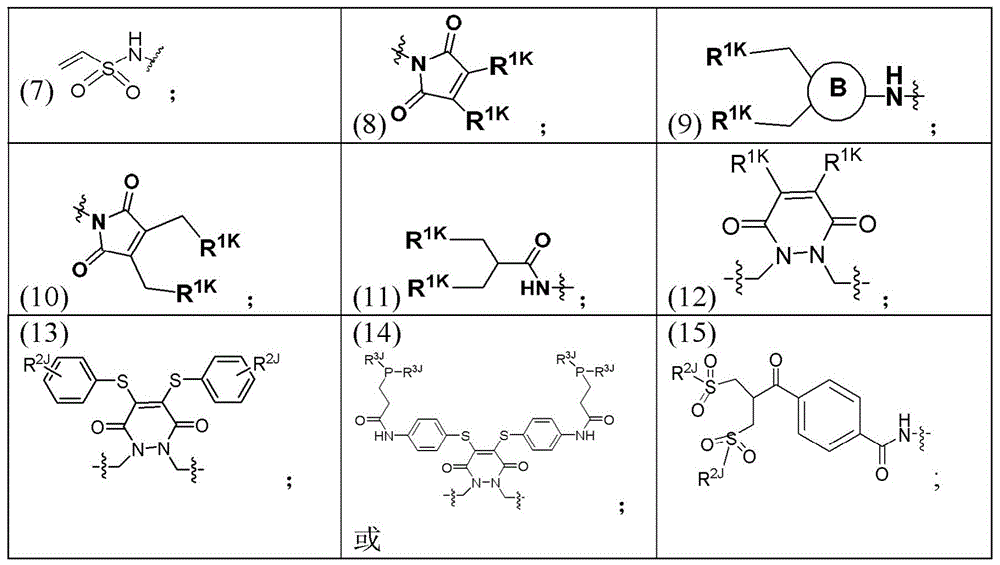 Figure BDA0003135424430000091