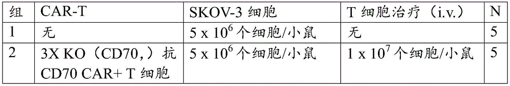 Figure BDA0002772276950001311