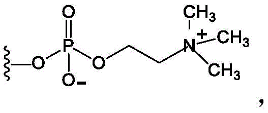 Figure BDA0003687503850000892