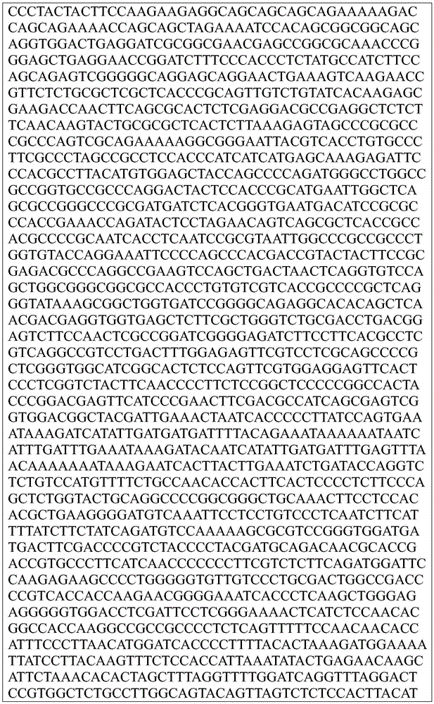 Figure BDA0002872168850002171