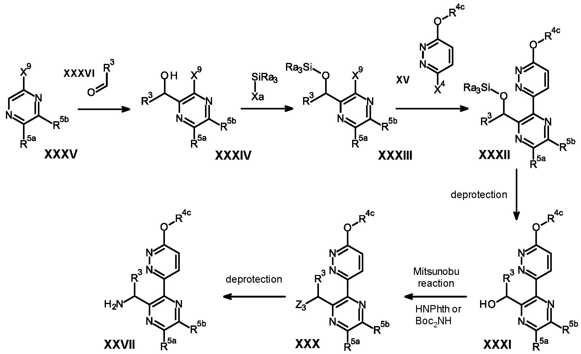 Figure imgf000044_0001