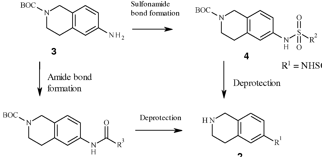 Figure imgf000010_0001