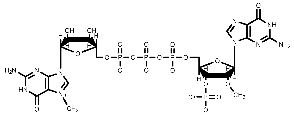 Figure imgf000034_0001