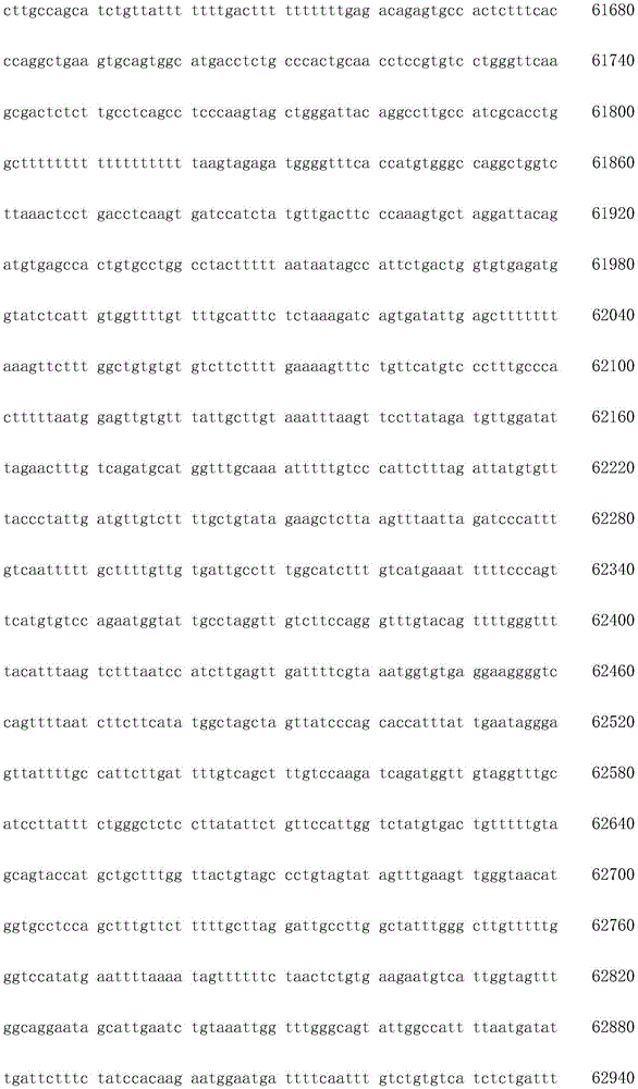 Figure IDA0003936212790001481