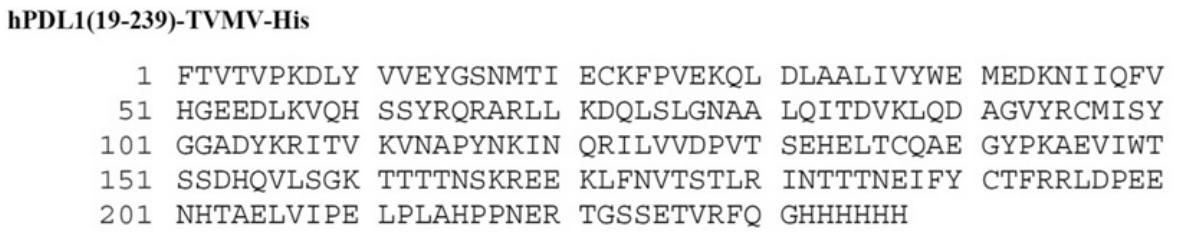 Figure 0007206222000051