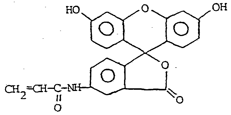 Figure imgf000016_0001