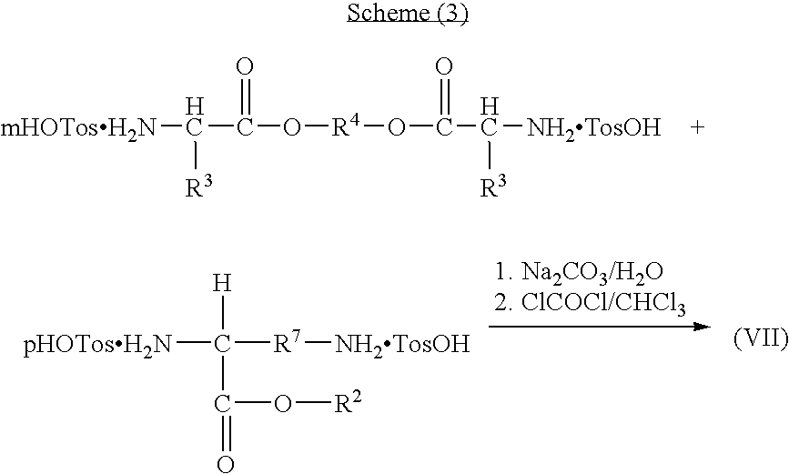 Figure US20070160622A1-20070712-C00019