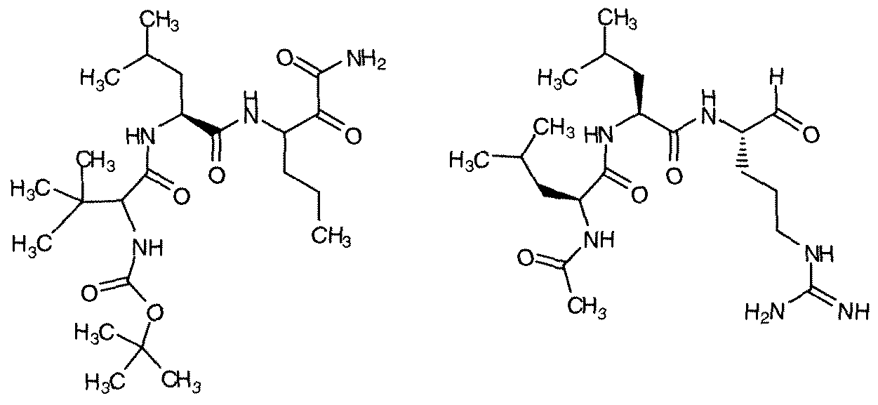 Figure imgf000067_0001