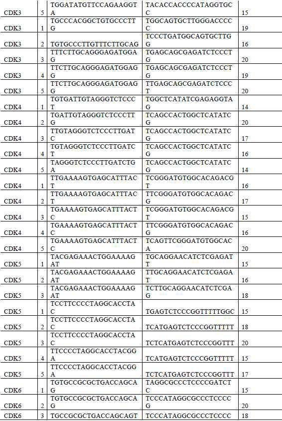 Figure 112020056955871-pat00010