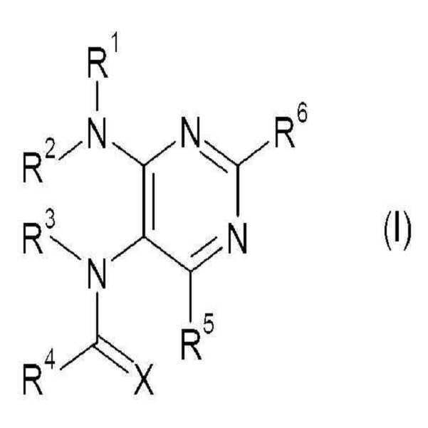 Figure 112016065027270-pct00073