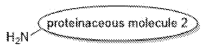 Figure imgf000073_0002