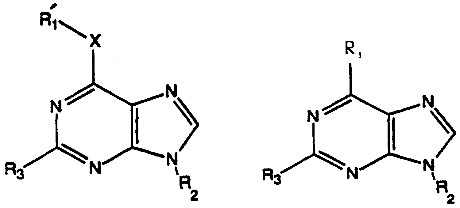 Figure imgf000006_0001