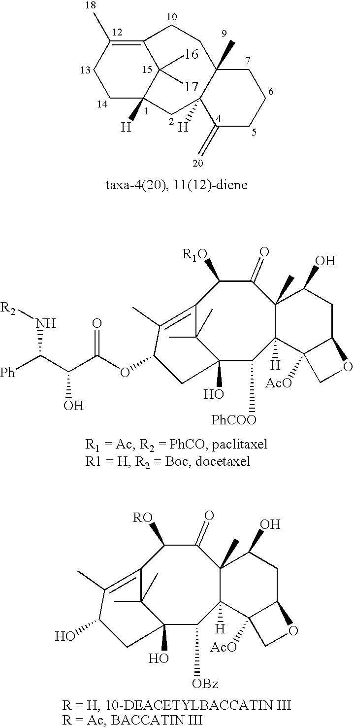 Figure US20050215764A1-20050929-C00002