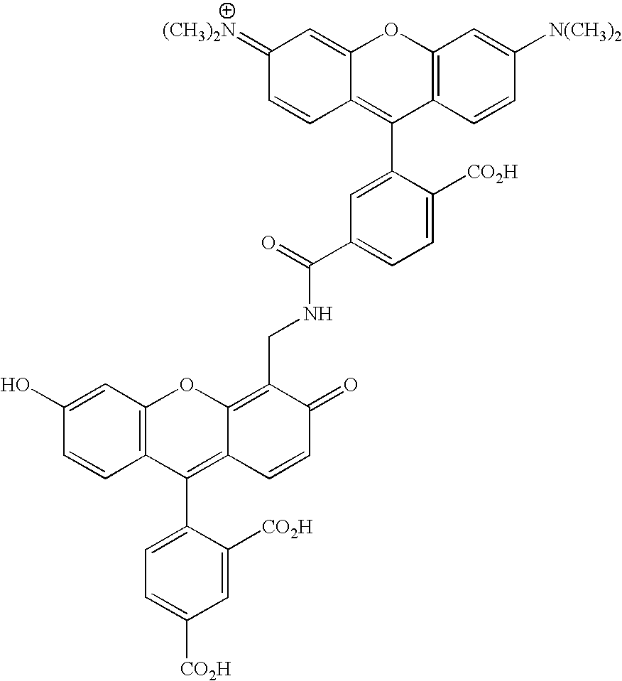 Figure US20070154927A1-20070705-C00115