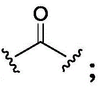 Figure FDA0003293294500000133