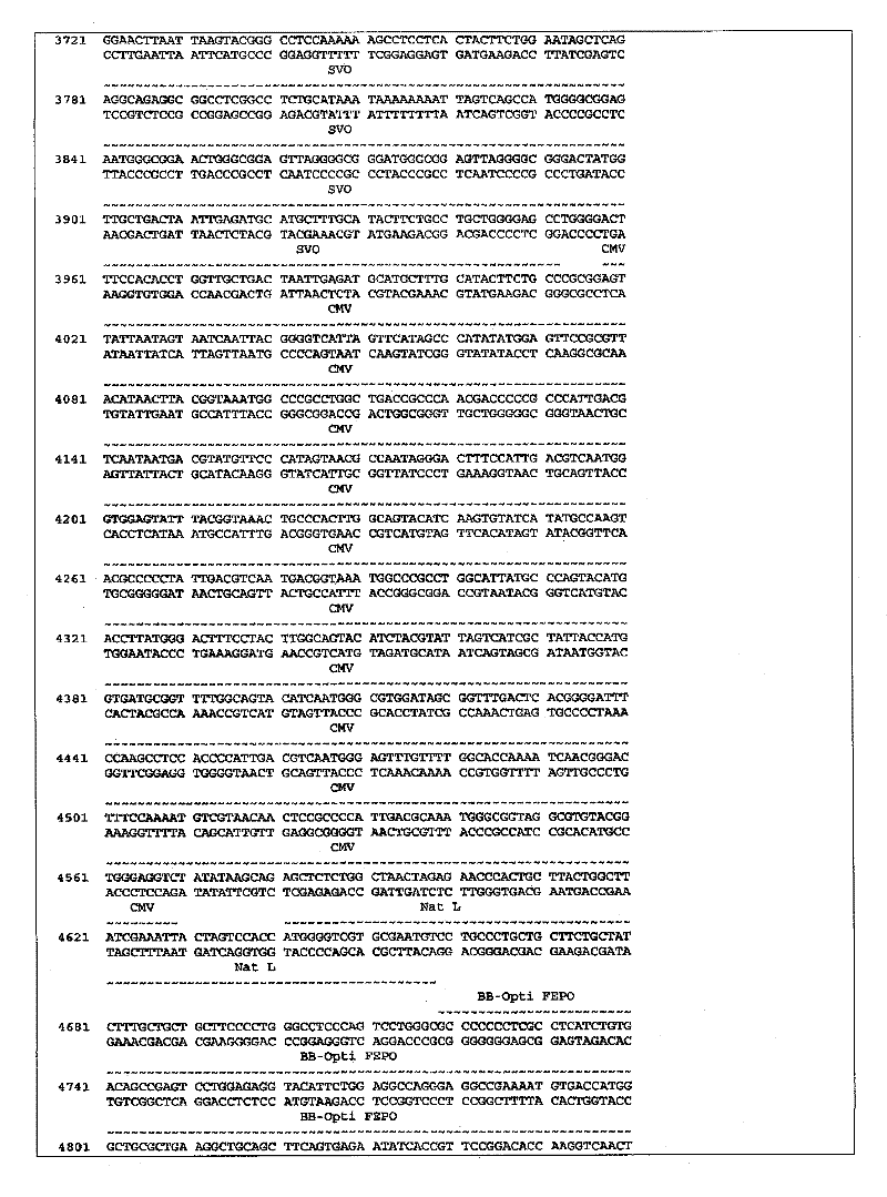 Figure BPA00001374088101401