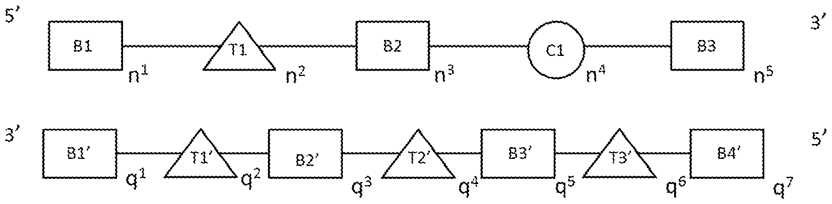 Figure imgf000049_0001