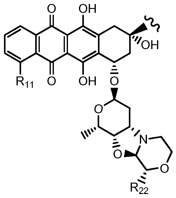 Figure imgf000025_0002