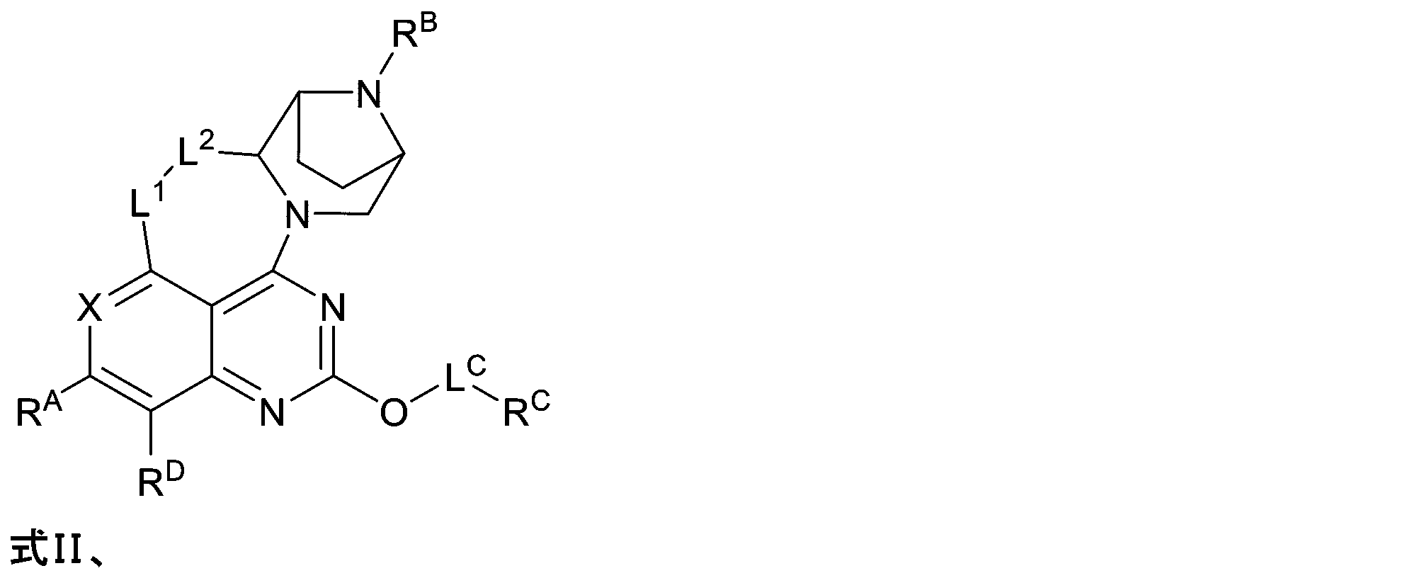 Figure 2025513258000029