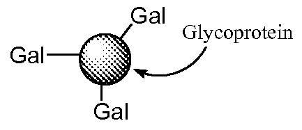Figure imgf000152_0001