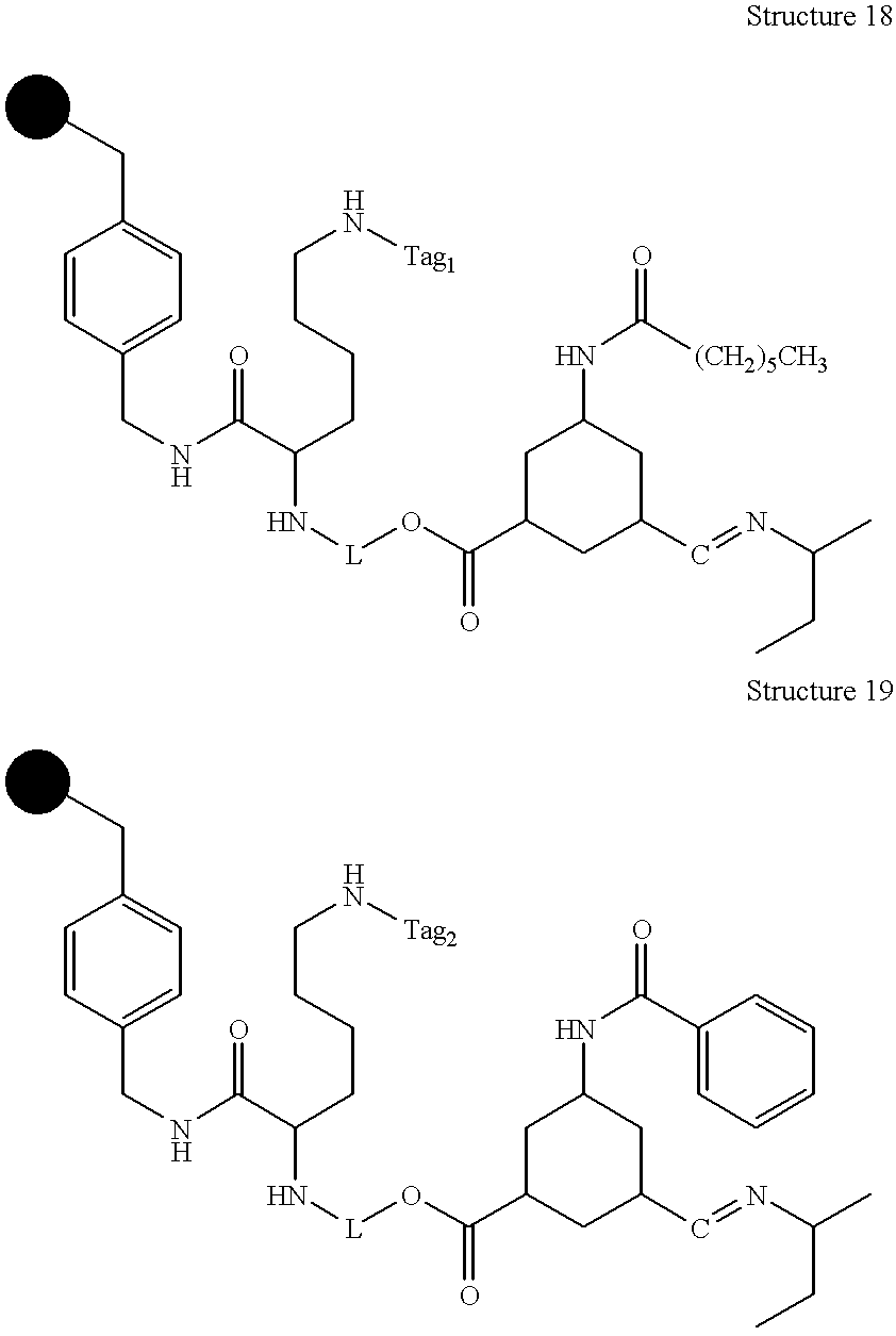 Figure US06168913-20010102-C00027