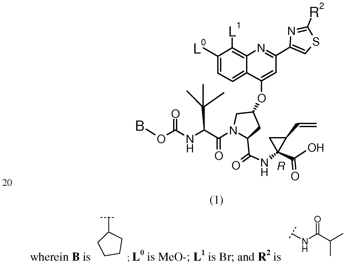 Figure imgf000002_0001