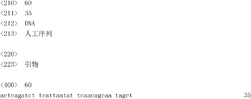 Figure IDA0000133447040000251