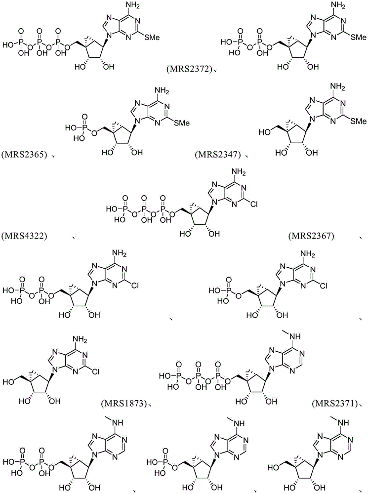 Figure BDA0003556351370000391