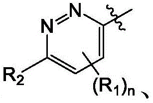 Figure BDA0004113614020001314