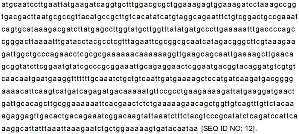 Figure BDA0002492233150000212