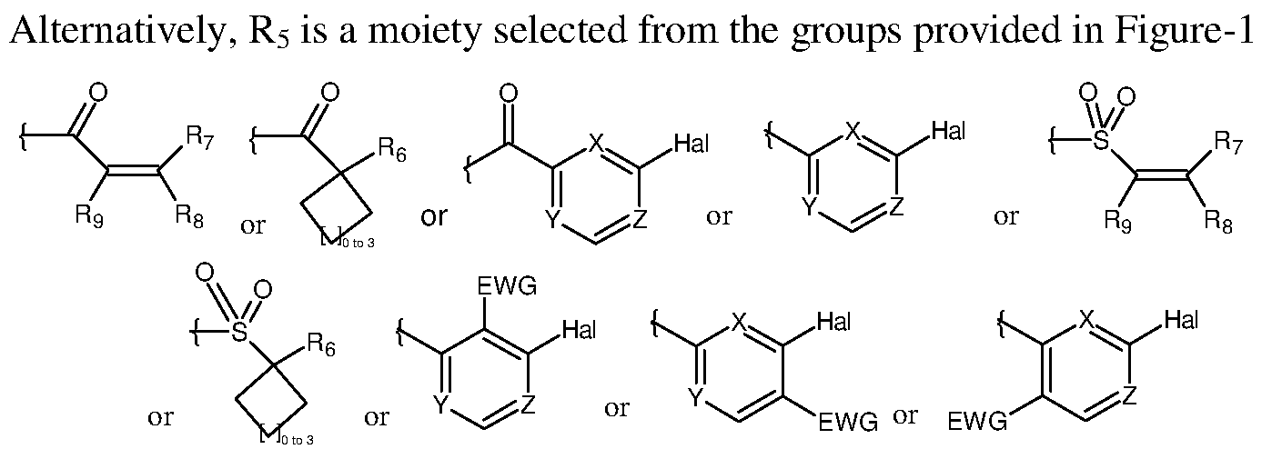 Figure imgf000012_0001
