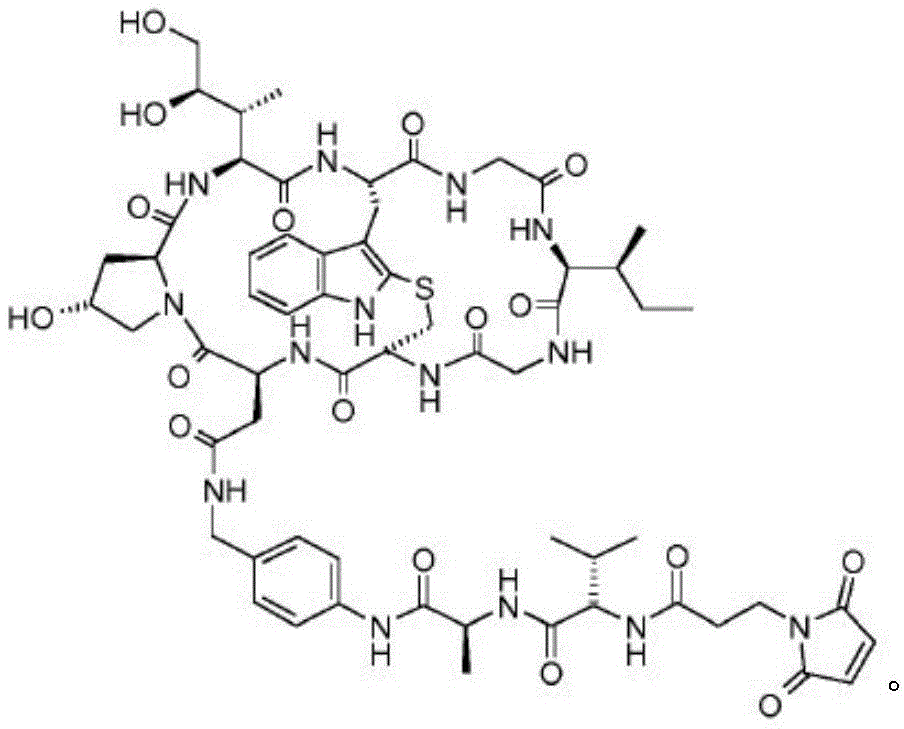 Figure BDA0003107814740001171