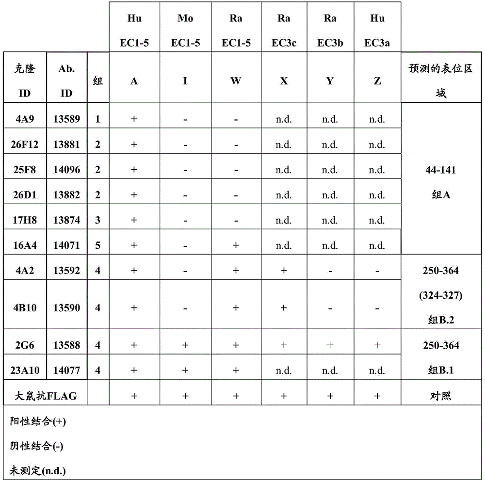 Figure BDA0000809210010001331