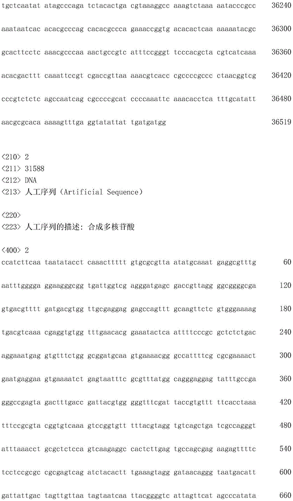 Figure IDA0002872168960000291